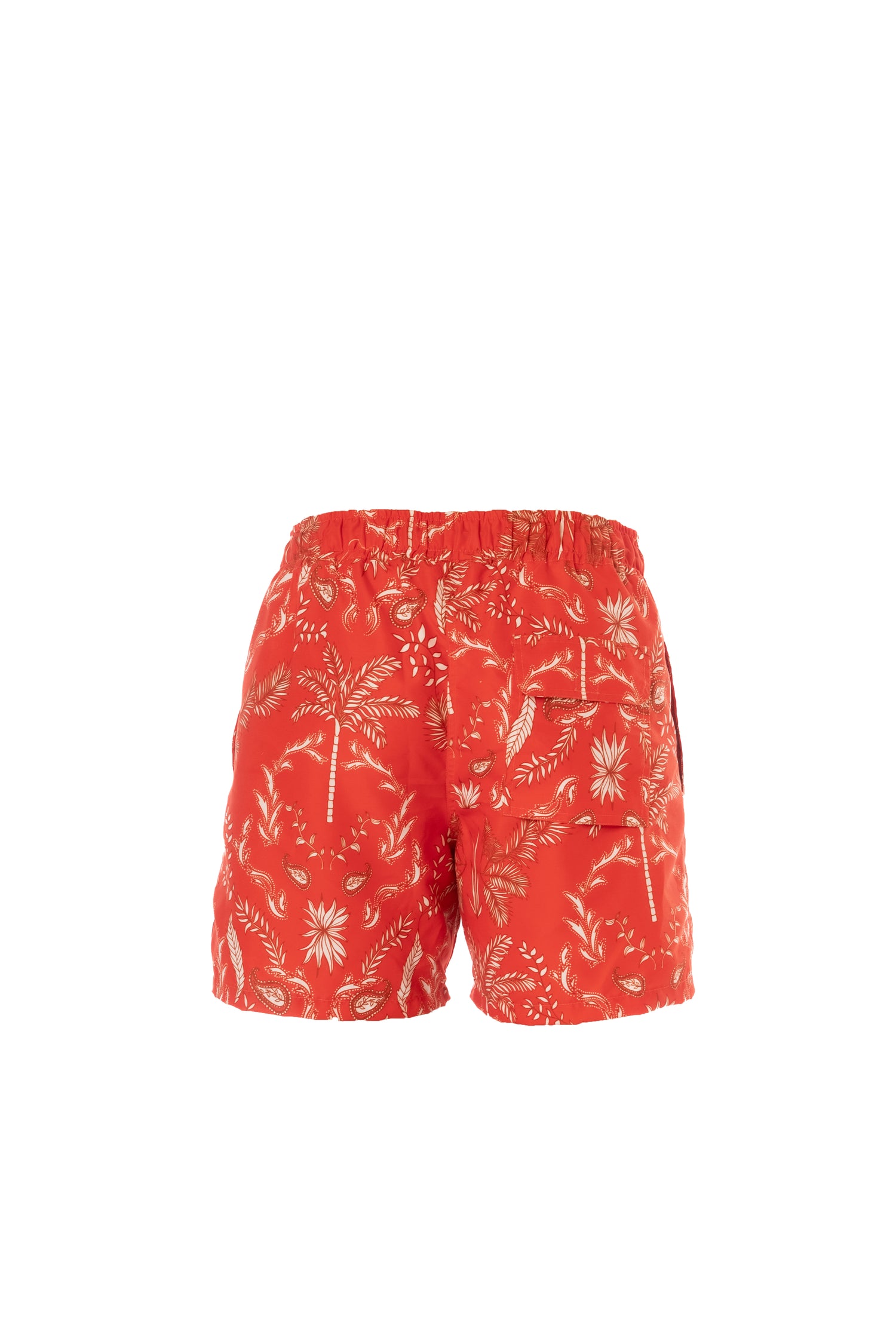 Pantaloneta Palmeral